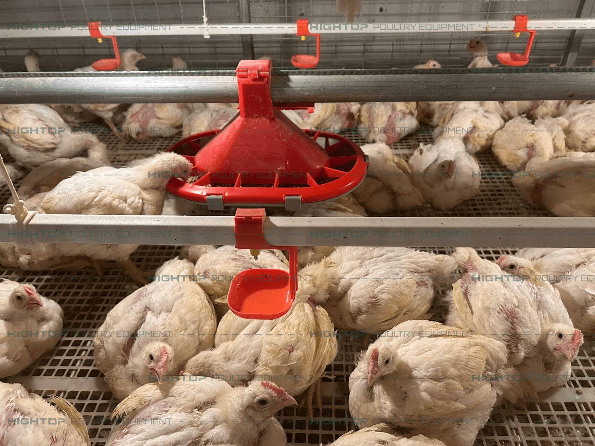 Broiler unit