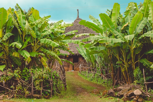 Garden & Thatch House