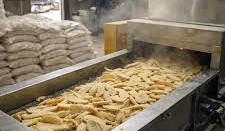 Plantain flour
